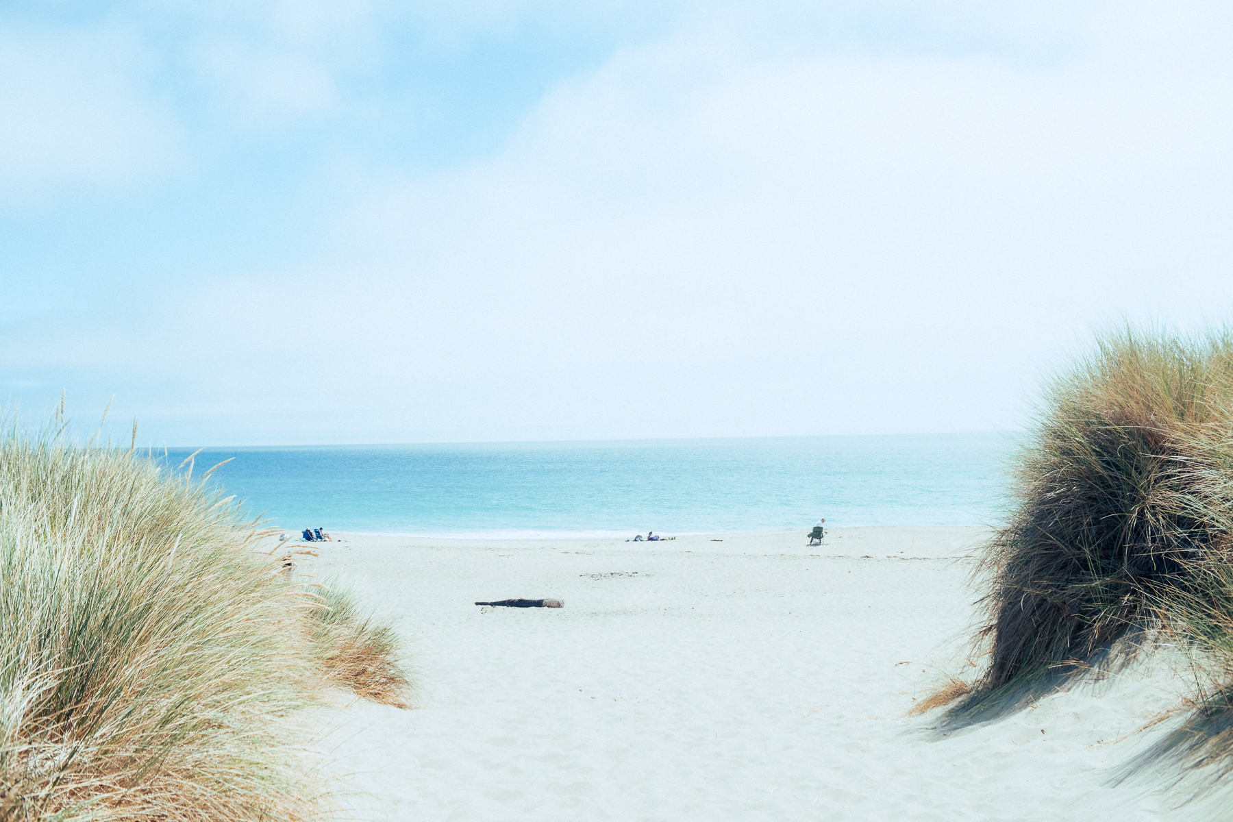 Bright sandy beach framed by dune grass and blue sky